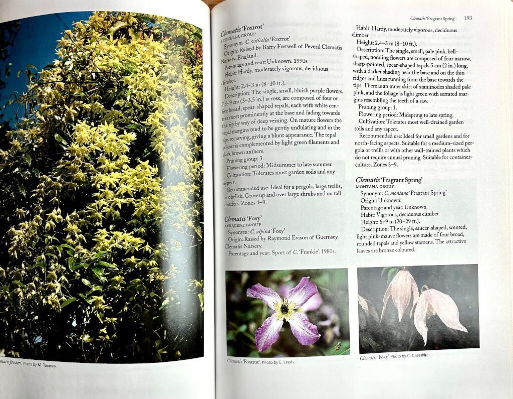 An illustrated encyclopedia of clematis