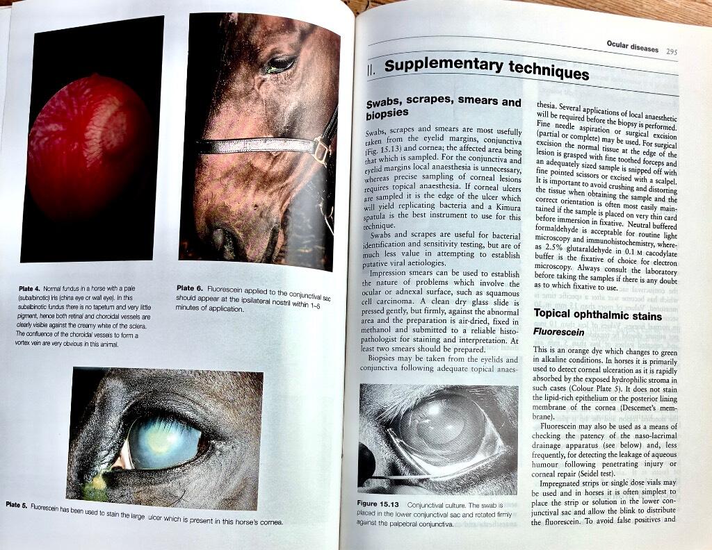 Diagnostic techniques in equine medicine - a textbook for students and practitioners describing diagnostic techniques applicable to the adult horse
