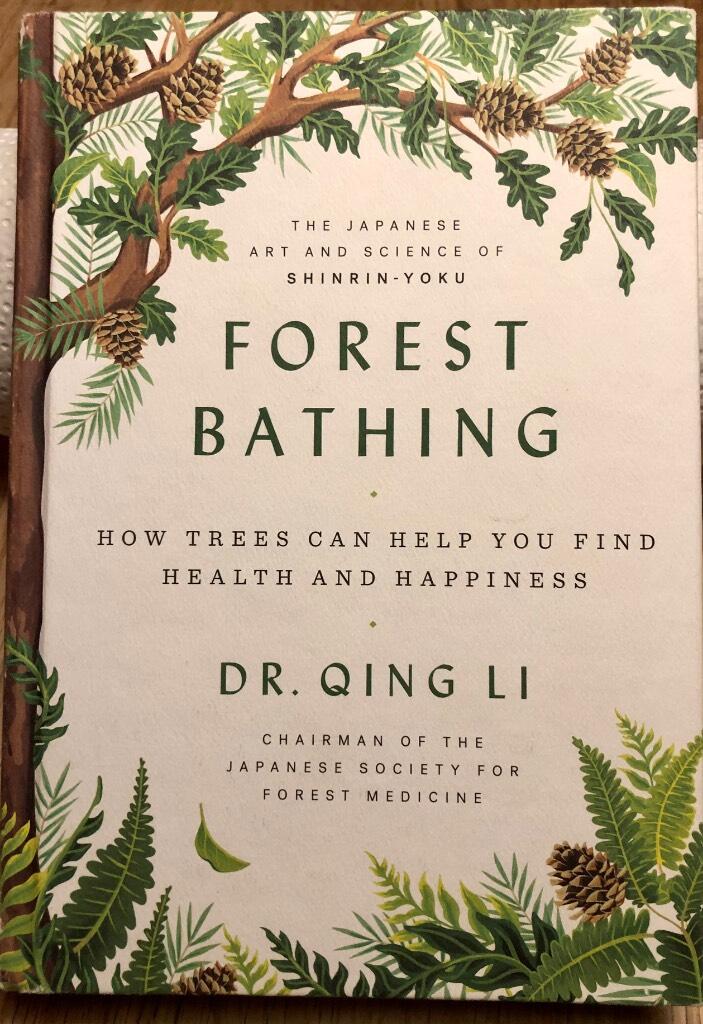 Forest bathing - how trees can help you find health and happiness