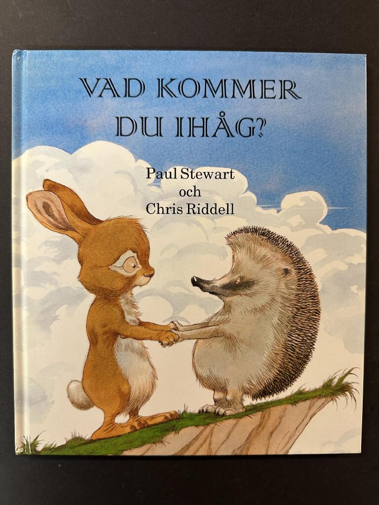 Vad kommer du ih&aring;g?