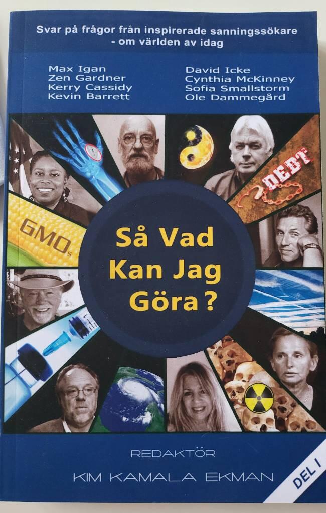 S&aring; vad kan jag g&ouml;ra? - svar p&aring; fr&aring;gor fr&aring;n inspirerade sanningss&ouml;kare om v&auml;rlden av idag : max Igan, Zen Gardner, Kerry Cassidy, Kevin Barrett, David Icke, Cynthia McKinney, Sofia Smallstorm, Ole Dammeg&aring;rd
