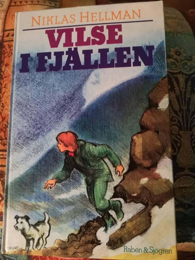 Vilse i fj&auml;llen