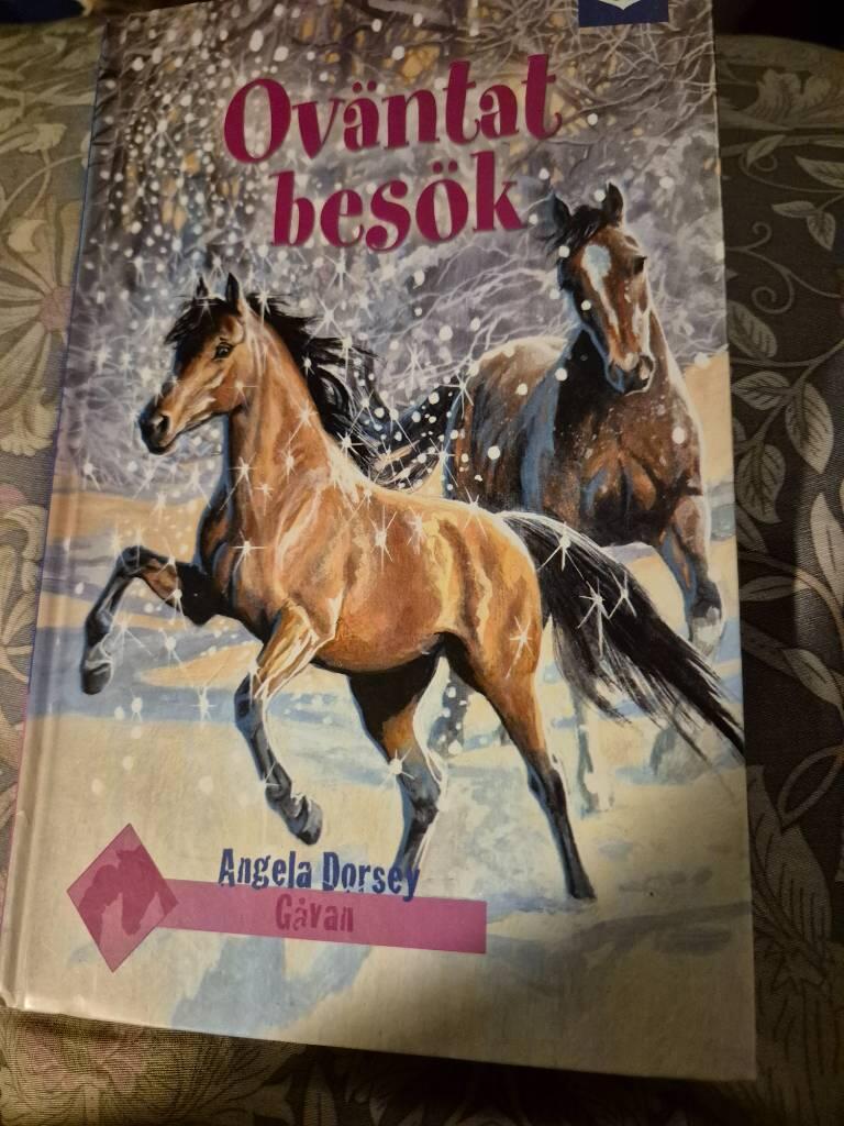 Jakten p&aring; sanningen