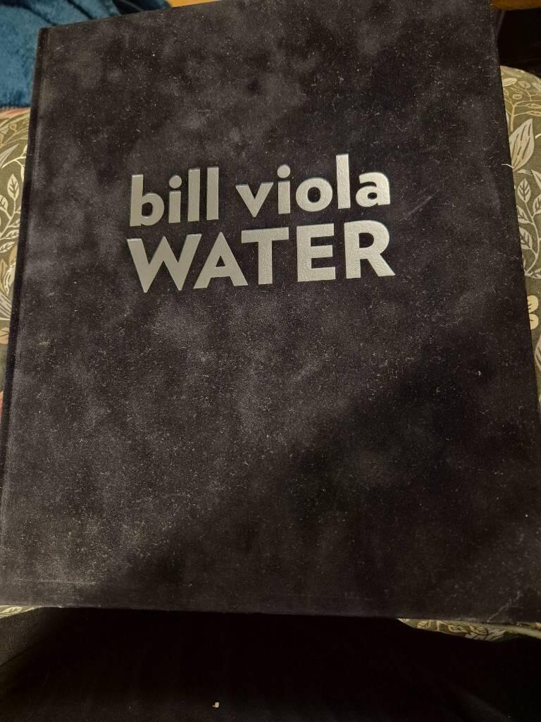 Bill Viola - water