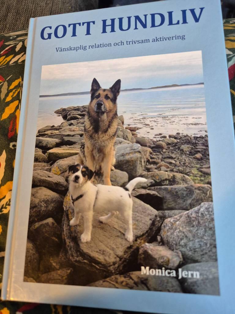 Gott hundliv - v&auml;nskaplig relation och trivsam aktivering