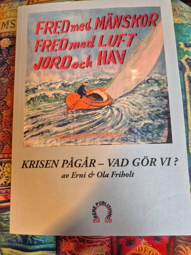 Krisen p&aring;g&aring;r - vad g&ouml;r vi?