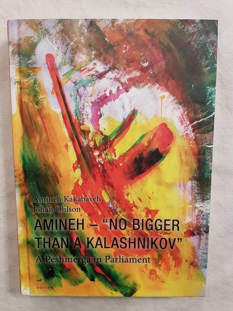 Amineh - "no bigger than a kalashnikov - a peshmerga in parliament