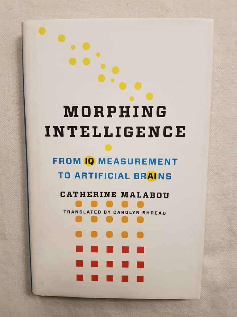 Morphing intelligence - from IQ measurement to artificial brains