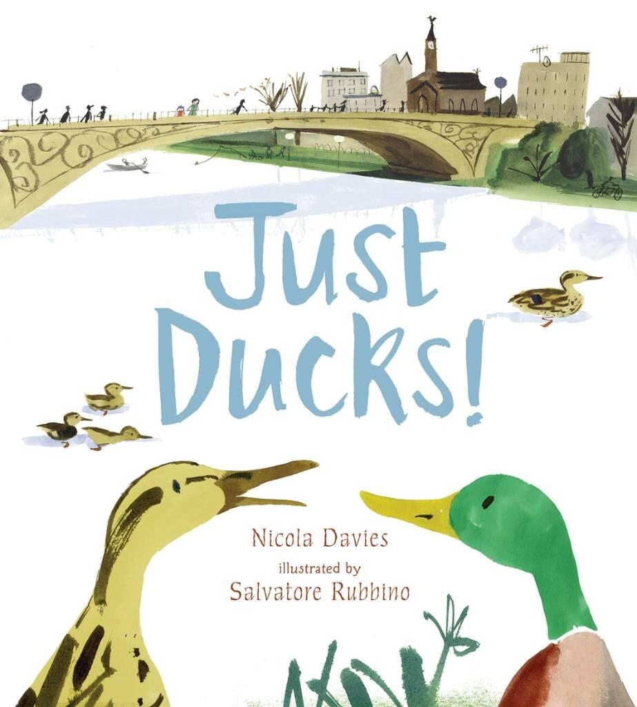 Just ducks!