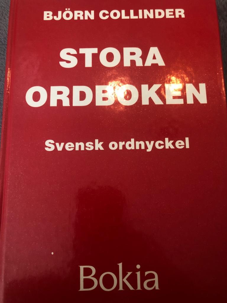 Stora ordboken