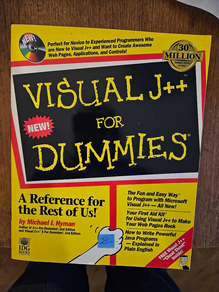 Visual J++ for Dummies