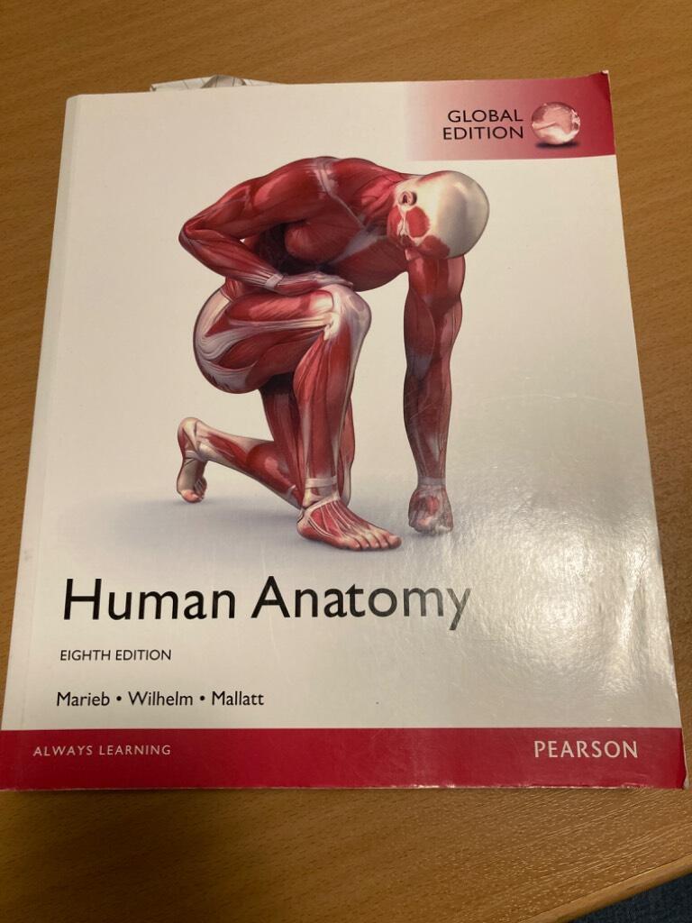 Human anatomy - Elaine N. Marieb, Patricia Brady Wilhelm, Jon Mallatt