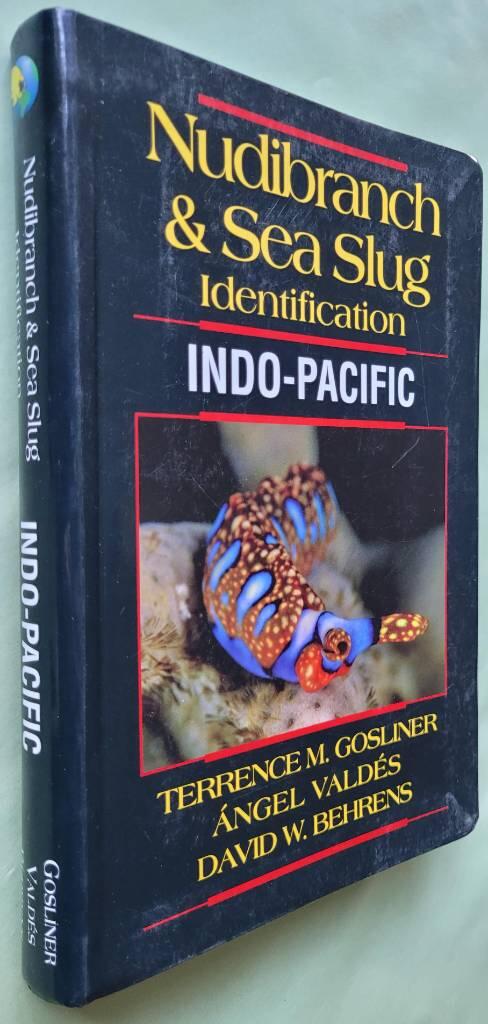 Nudibranch & sea slug identification