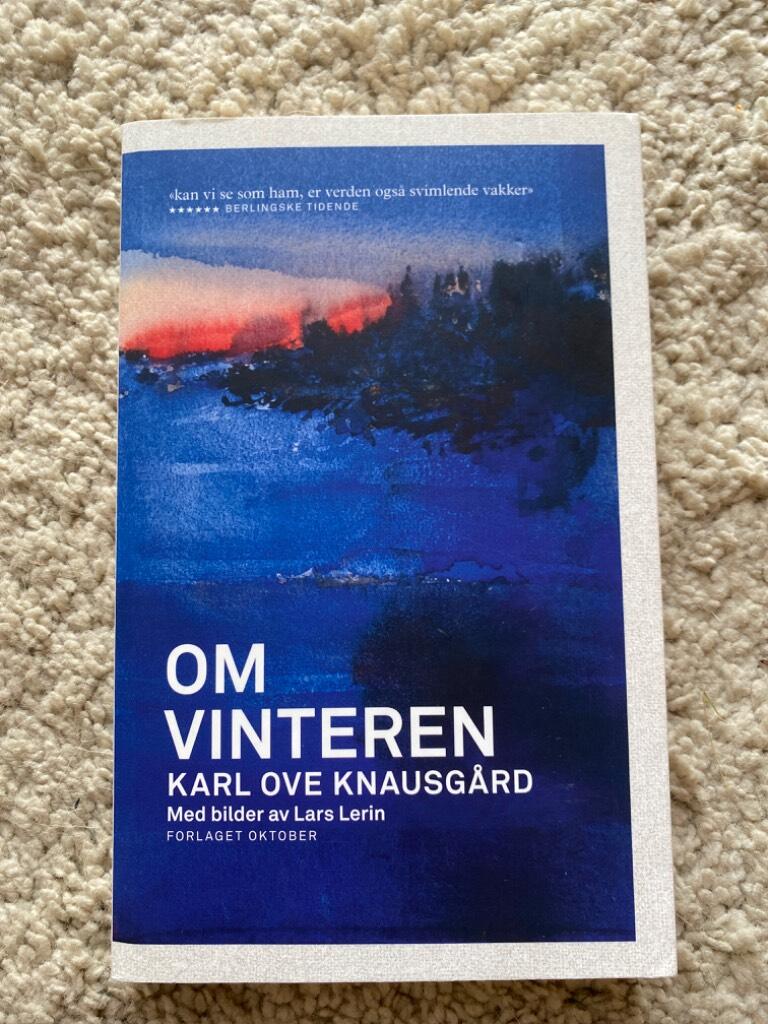 Om vinteren