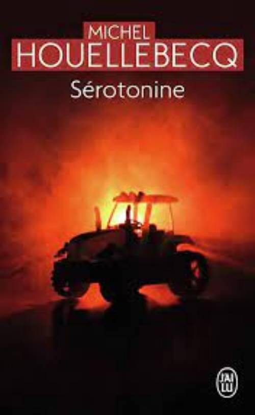 Sérotonine - roman