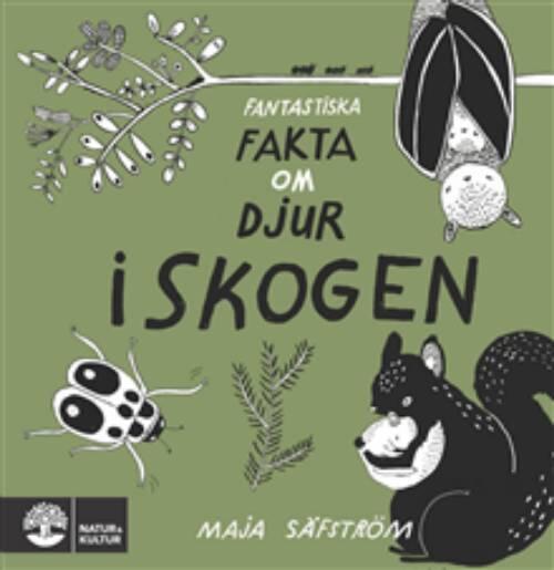 Fantastiska fakta om djur i skogen
