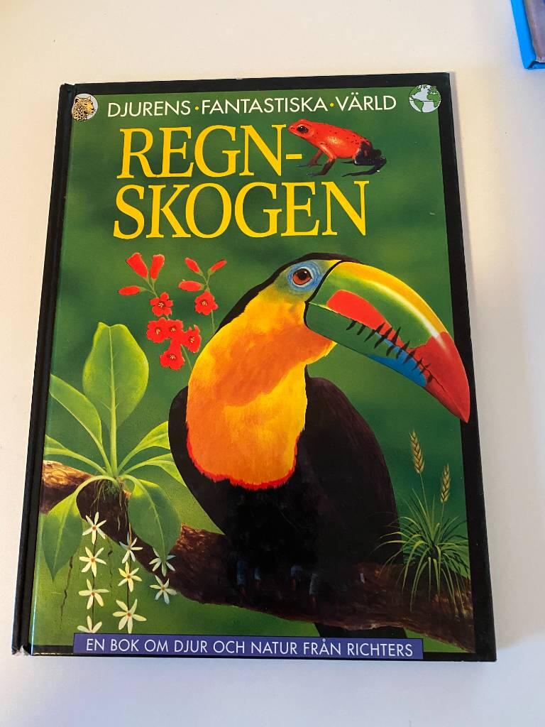 Regnskogen
