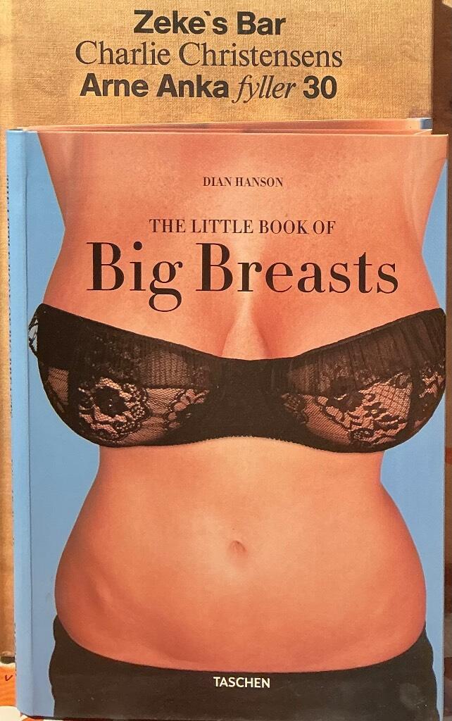 Little book of big breasts