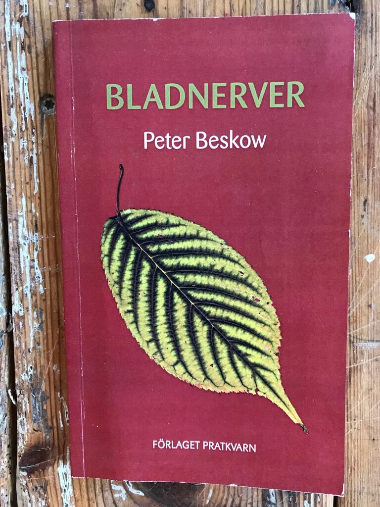 Bladnerver