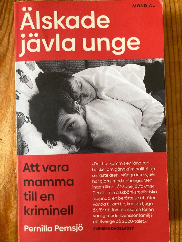 &Auml;lskade j&auml;vla unge - att vara mamma till en kriminell