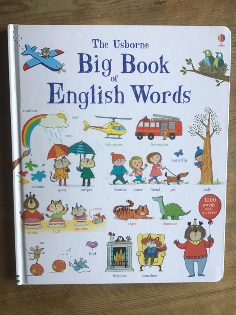 The Usborne big book of English words