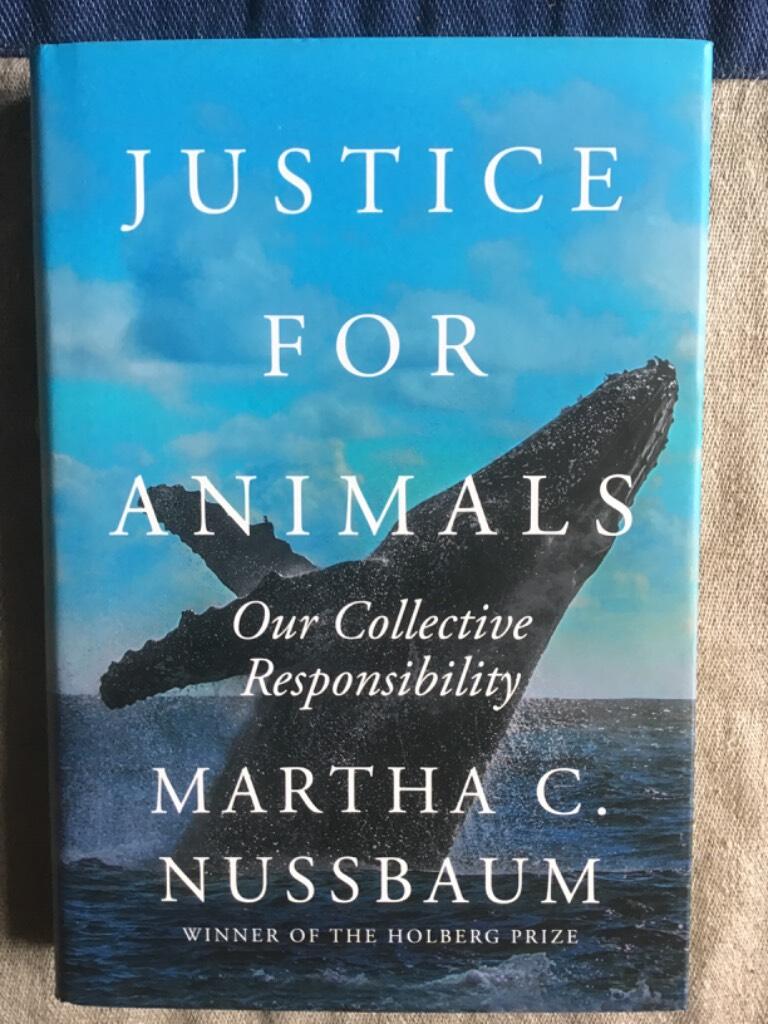 Justice for animals - our collective responsibility