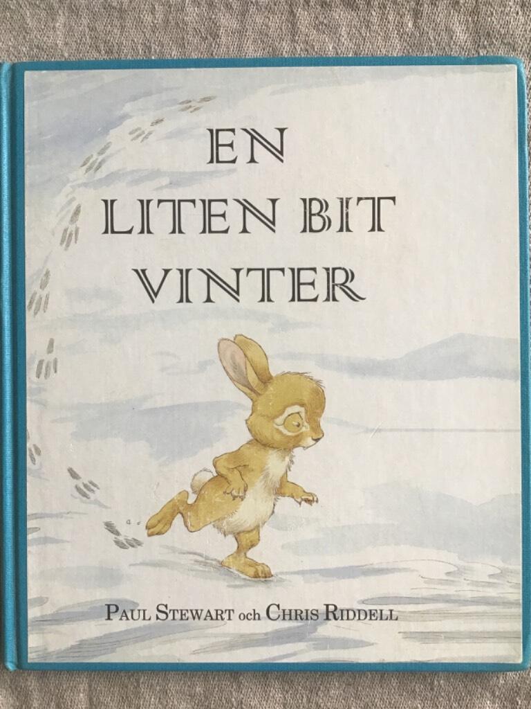 En liten bit vinter