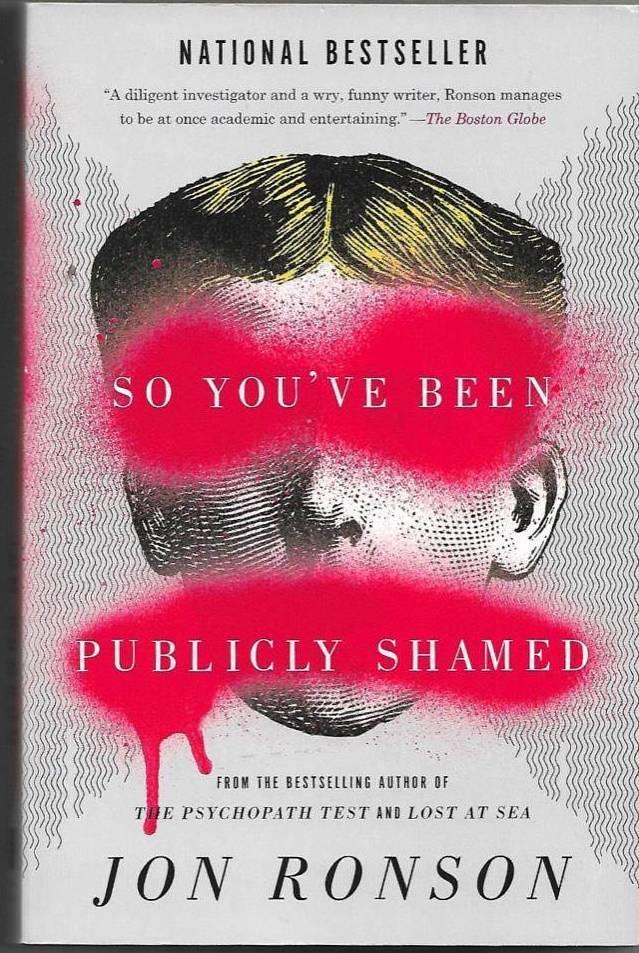 So You've Been Publicly Shamed