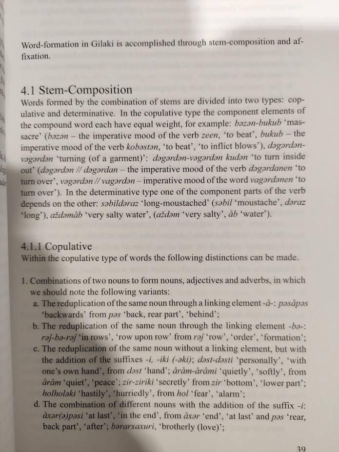 The Gilaki Language [Elektronisk resurs]