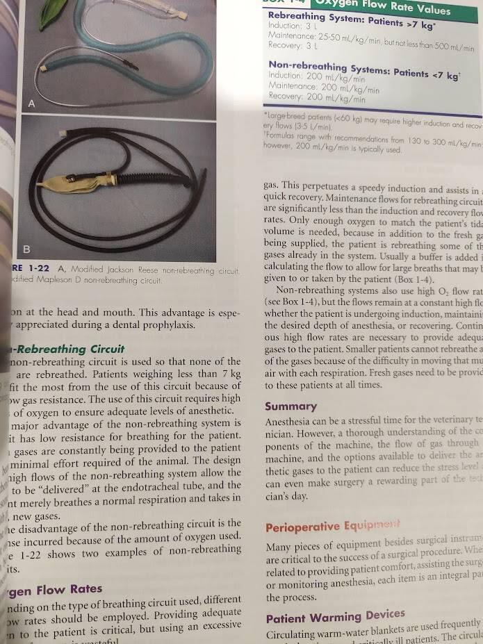 Small animal surgical nursing - skills and concepts