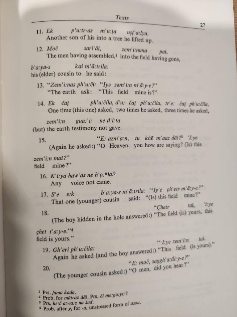 Indo-Iranian frontier languages