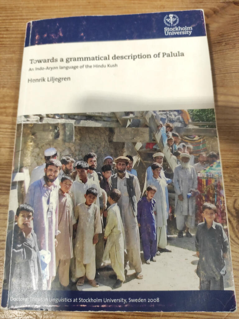 Towards a grammatical description of Palula [Elektronisk resurs] : An Indo-Aryan language of the Hindu Kush