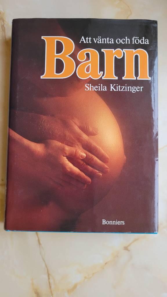 Att v&auml;nta och f&ouml;da barn