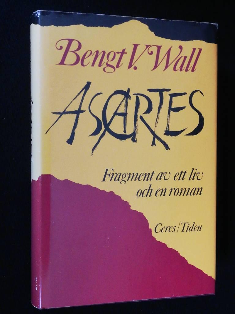 Ascartes : fragment av ett liv och en roman