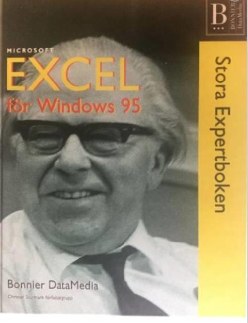 Excel f&ouml;r Windows 95