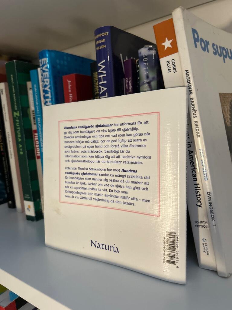 Hundens vanligaste sjukdomar