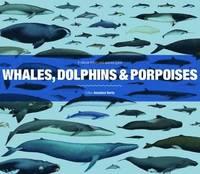 Whales, dolphins & porpoises