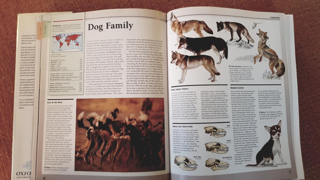 The new encyclopedia of mammals