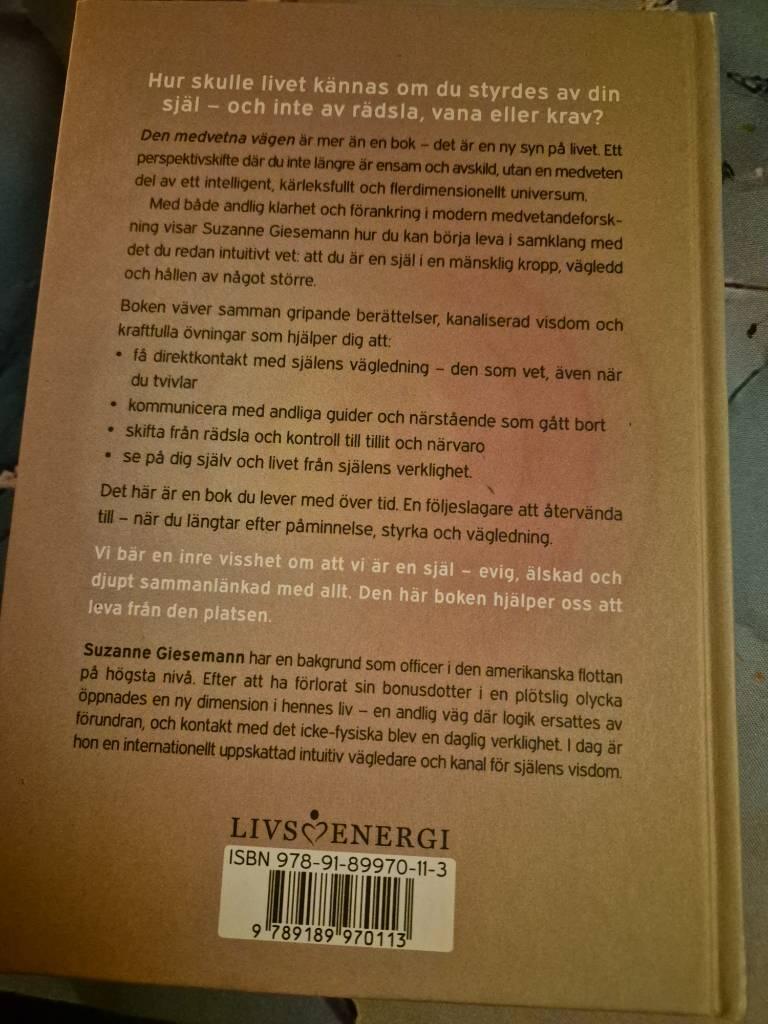 Den medvetna v&auml;gen - lev i tillit och &ouml;ppna dig f&ouml;r h&ouml;gre v&auml;gledning
