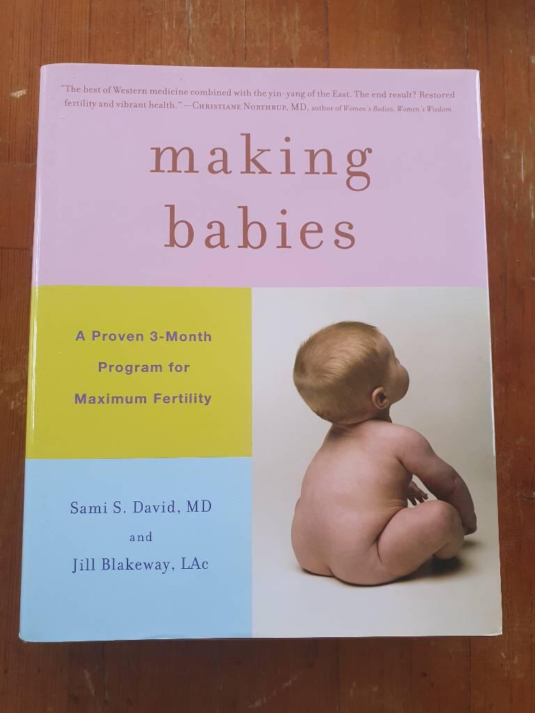 Making Babies: A Proven 3-Month Program for Maximum Fertility