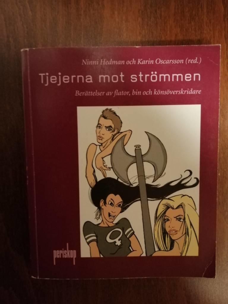 Tjejerna mot str&ouml;mmen : ber&auml;ttelser av flator, bin och k&ouml;ns&ouml;verskridare