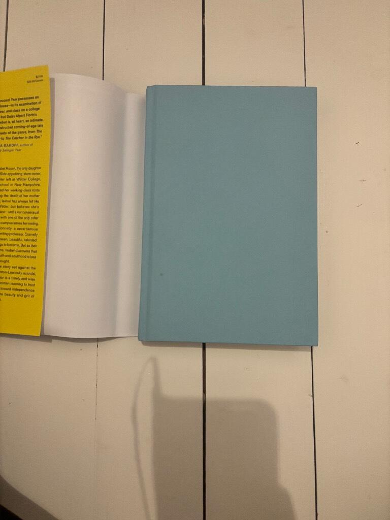 My last innocent year - a novel