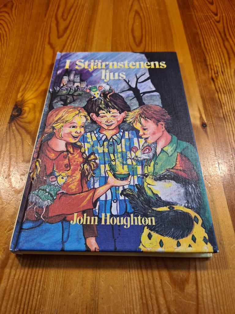 I stj&auml;rnstenens ljus