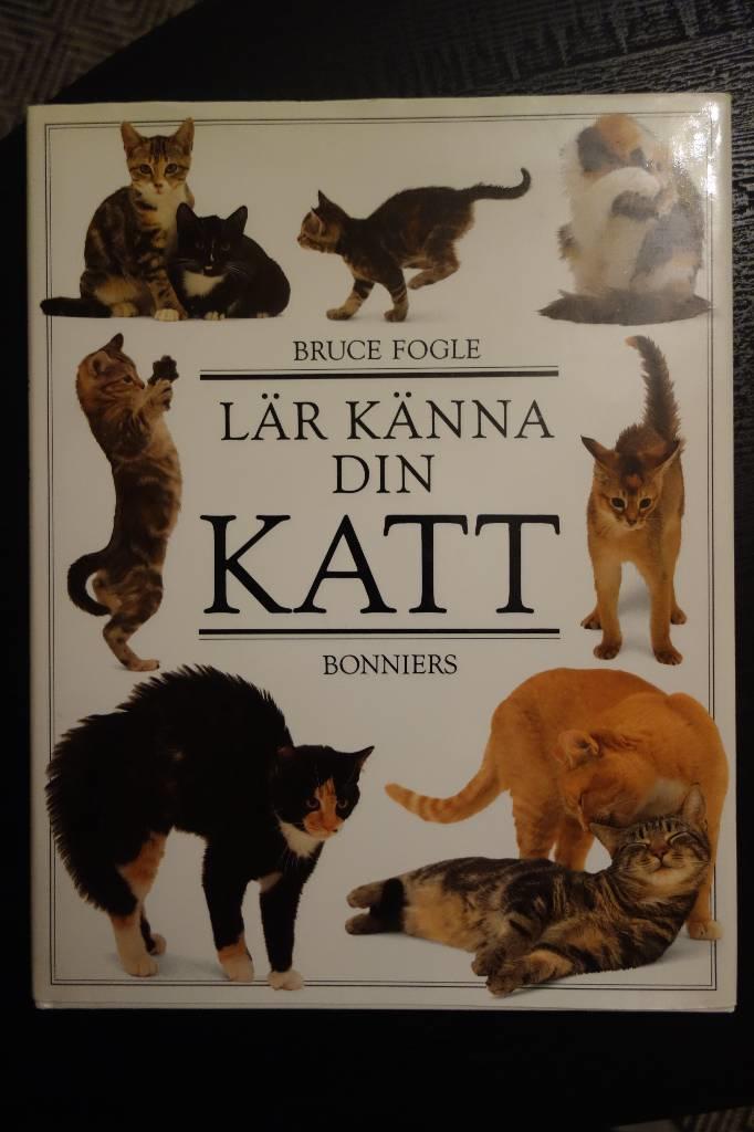 L&auml;r k&auml;nna din katt