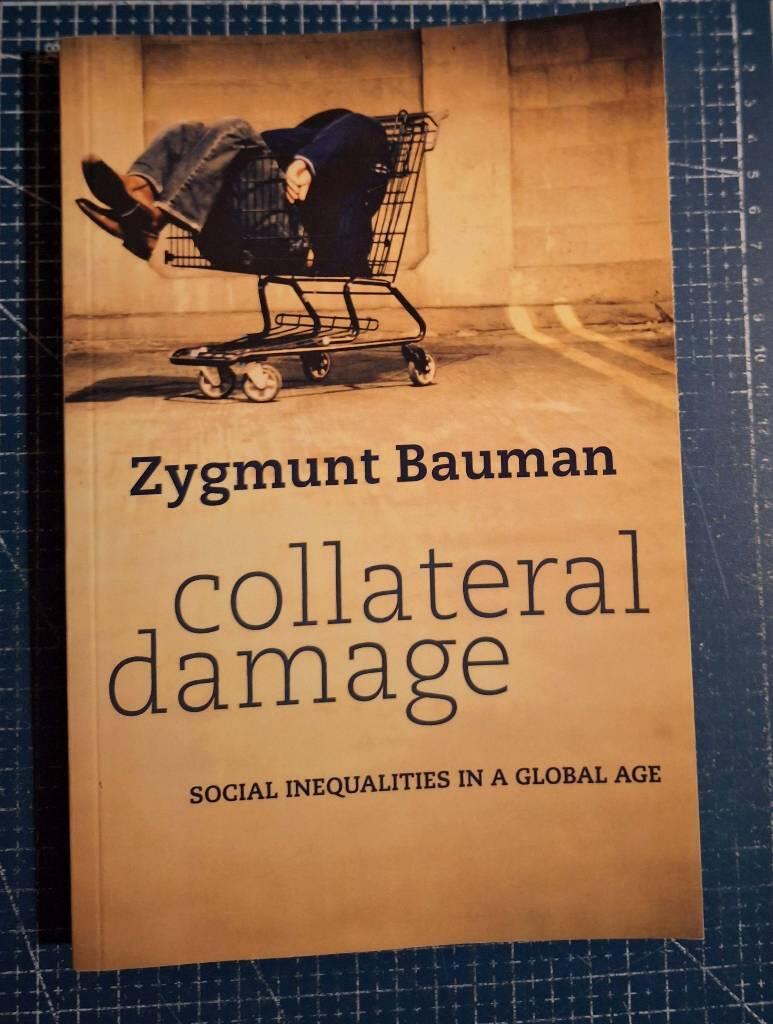 Collateral Damage: Social Inequalities in a Global Age