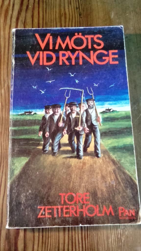 Vi m&ouml;ts vid Rynge