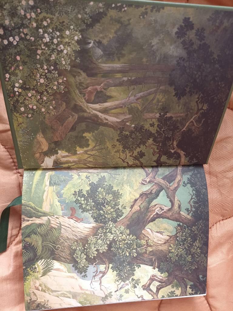 The merry adventures of Robin Hood