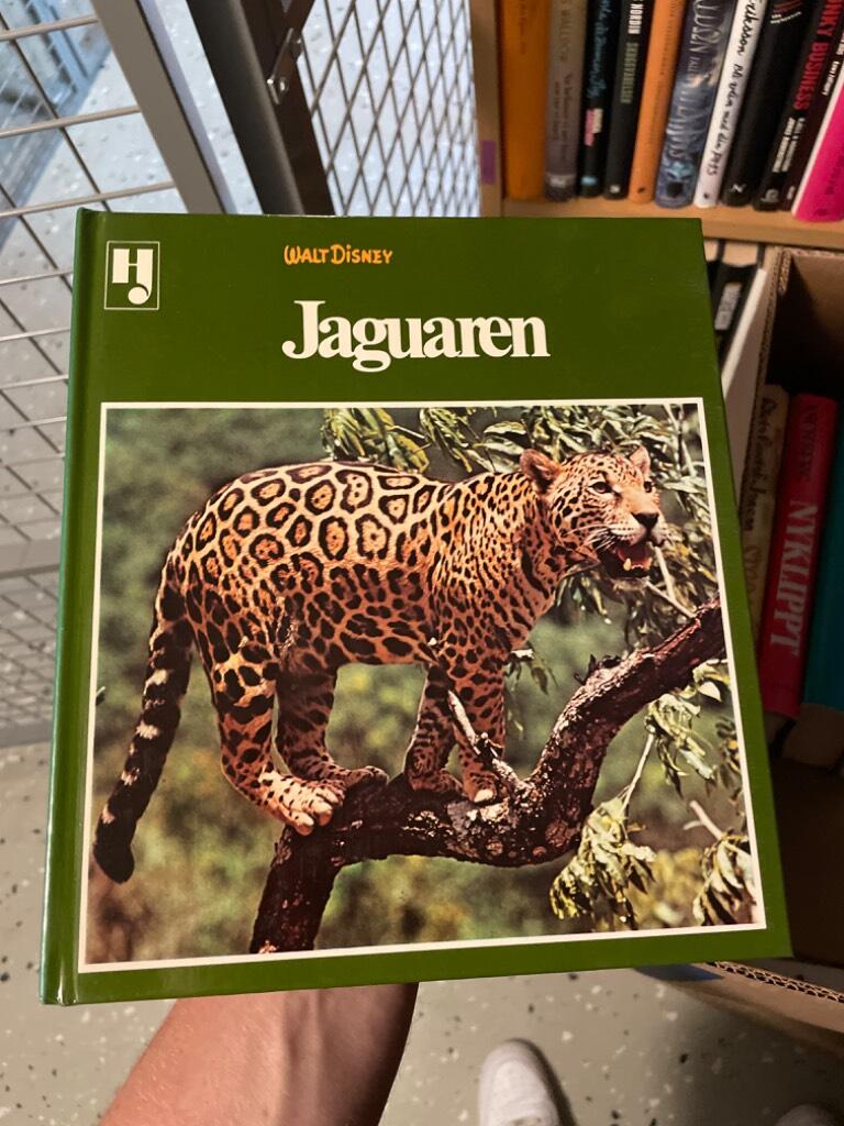 Jaguaren