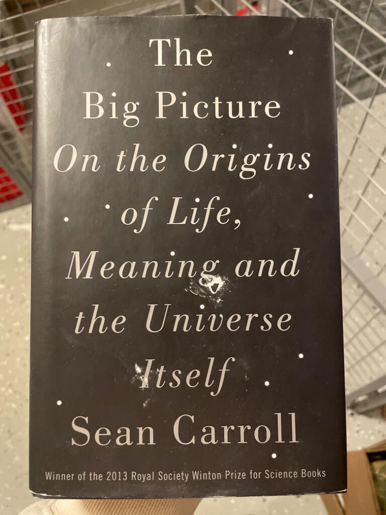 The Big Picture - on the origins of life, meaning, and the universe itself