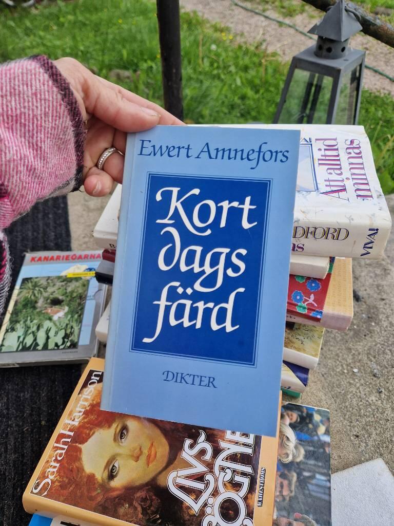Kort dags f&auml;rd - dikter